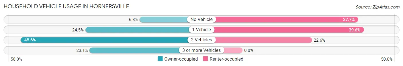 Household Vehicle Usage in Hornersville
