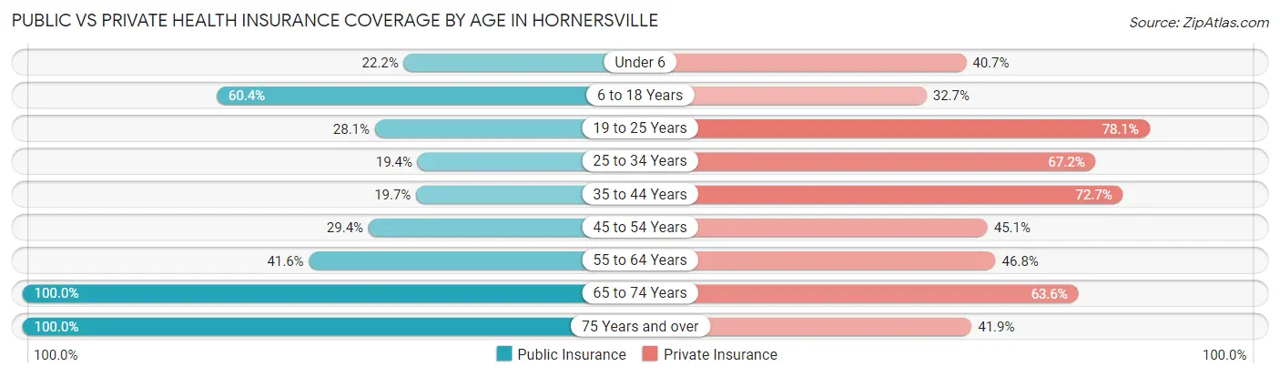 Public vs Private Health Insurance Coverage by Age in Hornersville