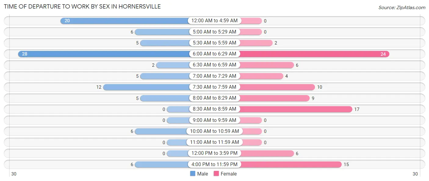 Time of Departure to Work by Sex in Hornersville
