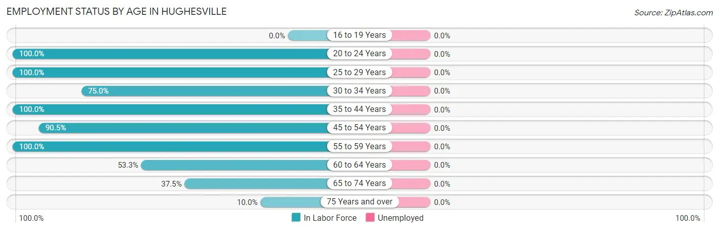 Employment Status by Age in Hughesville