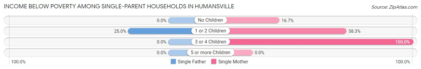 Income Below Poverty Among Single-Parent Households in Humansville