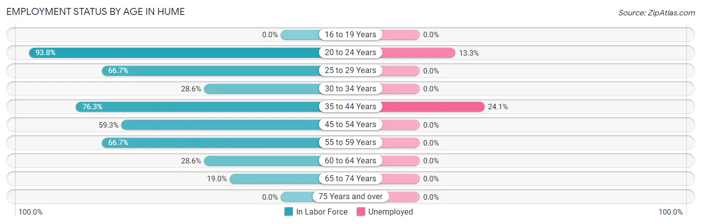 Employment Status by Age in Hume