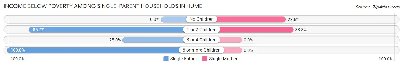 Income Below Poverty Among Single-Parent Households in Hume
