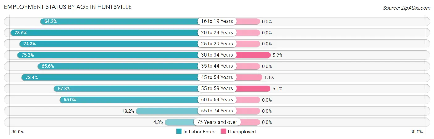 Employment Status by Age in Huntsville