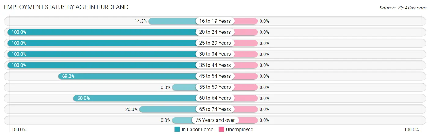 Employment Status by Age in Hurdland