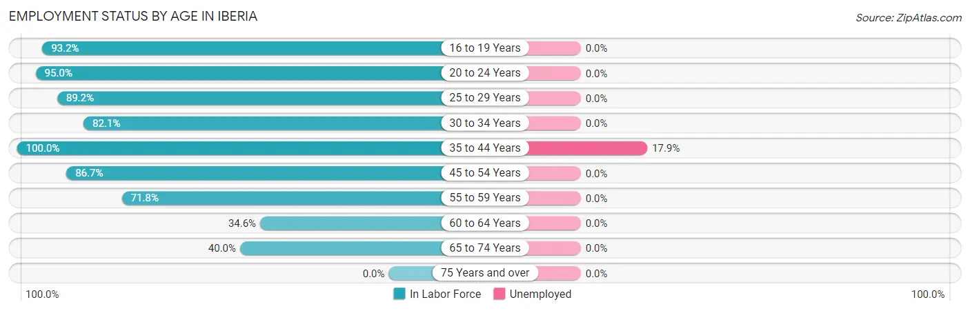 Employment Status by Age in Iberia
