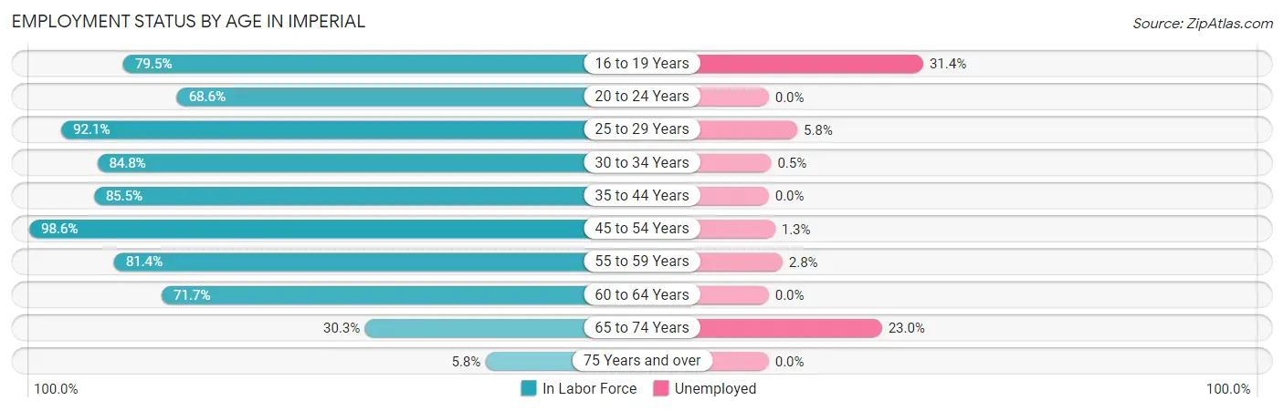 Employment Status by Age in Imperial