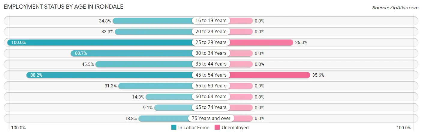 Employment Status by Age in Irondale