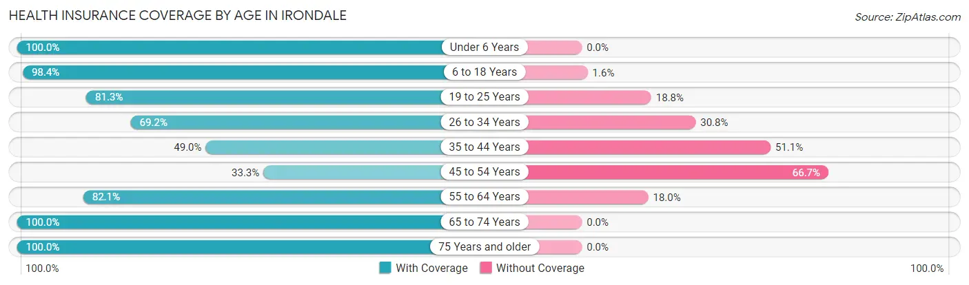 Health Insurance Coverage by Age in Irondale