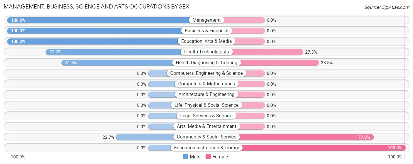 Management, Business, Science and Arts Occupations by Sex in Irondale
