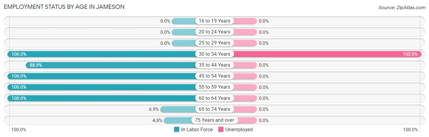 Employment Status by Age in Jameson