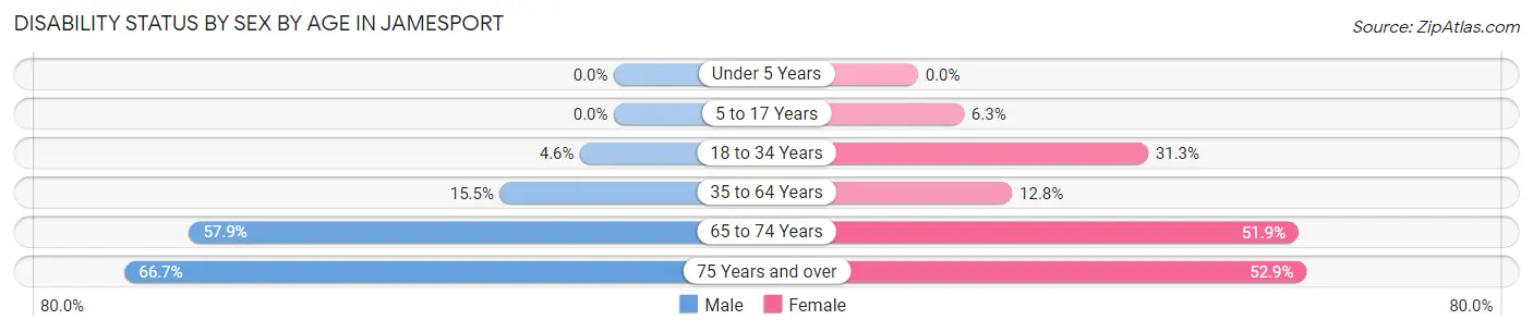 Disability Status by Sex by Age in Jamesport