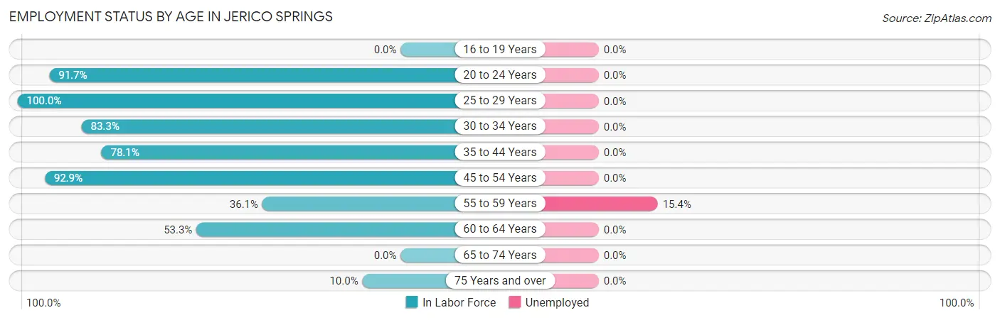 Employment Status by Age in Jerico Springs