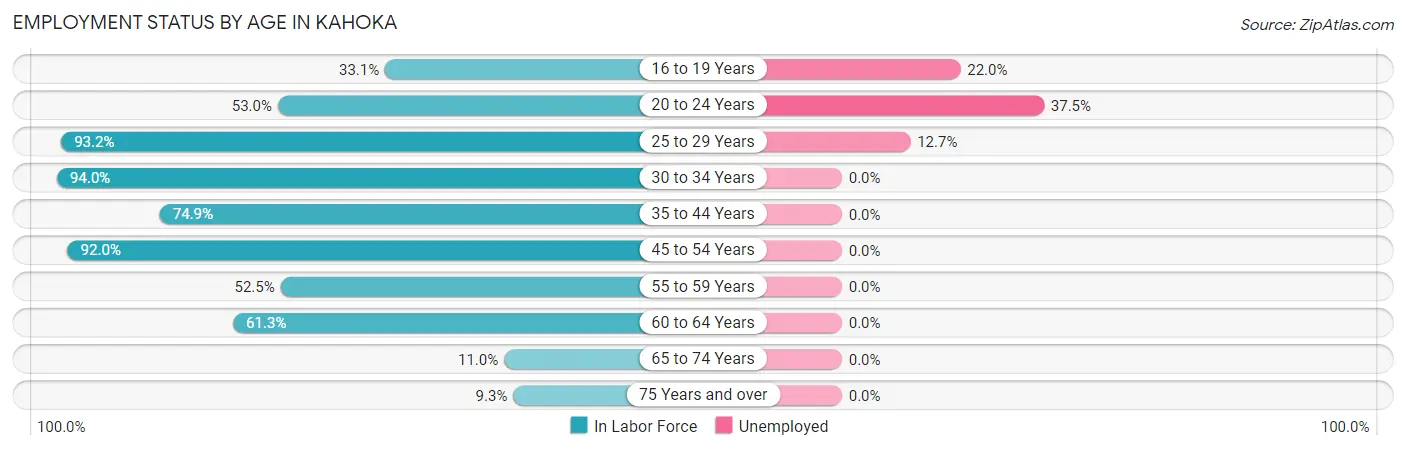 Employment Status by Age in Kahoka