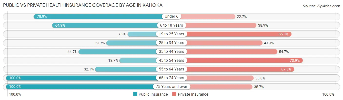 Public vs Private Health Insurance Coverage by Age in Kahoka