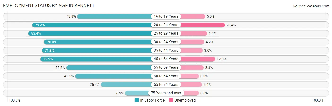 Employment Status by Age in Kennett