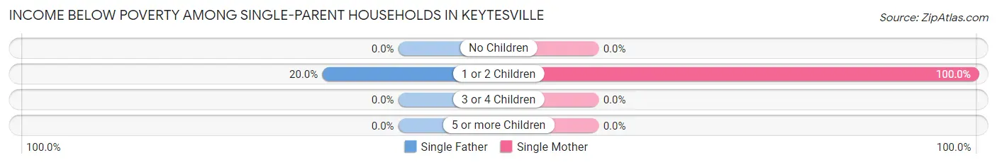 Income Below Poverty Among Single-Parent Households in Keytesville