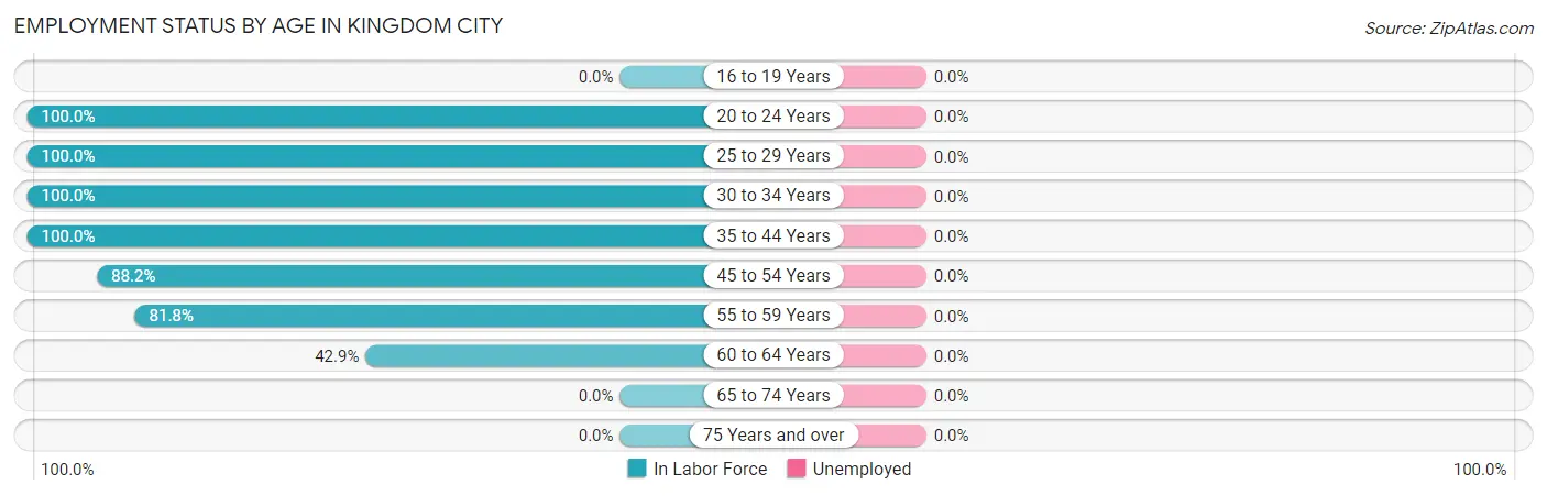Employment Status by Age in Kingdom City
