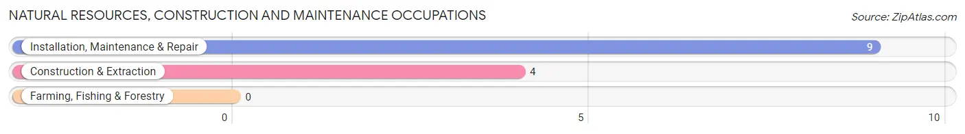 Natural Resources, Construction and Maintenance Occupations in Kingston