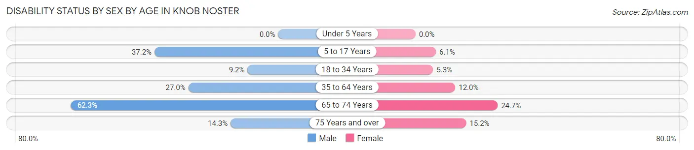 Disability Status by Sex by Age in Knob Noster