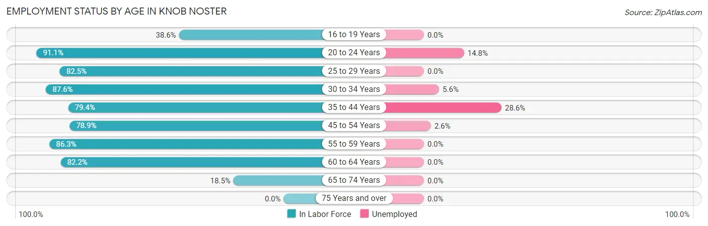 Employment Status by Age in Knob Noster