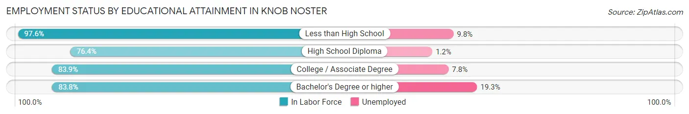 Employment Status by Educational Attainment in Knob Noster