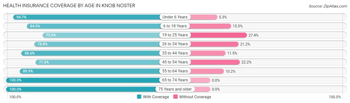 Health Insurance Coverage by Age in Knob Noster