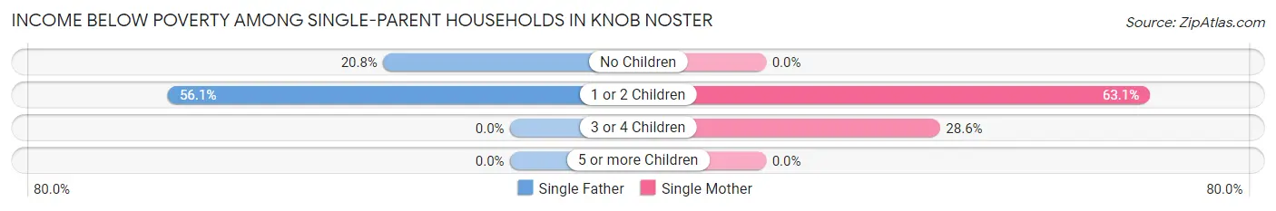 Income Below Poverty Among Single-Parent Households in Knob Noster