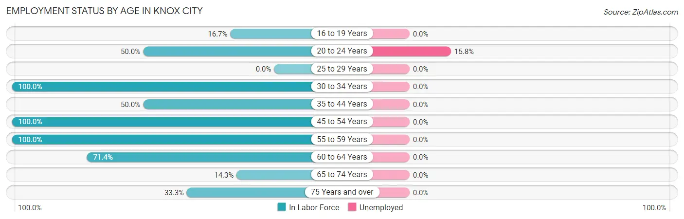 Employment Status by Age in Knox City