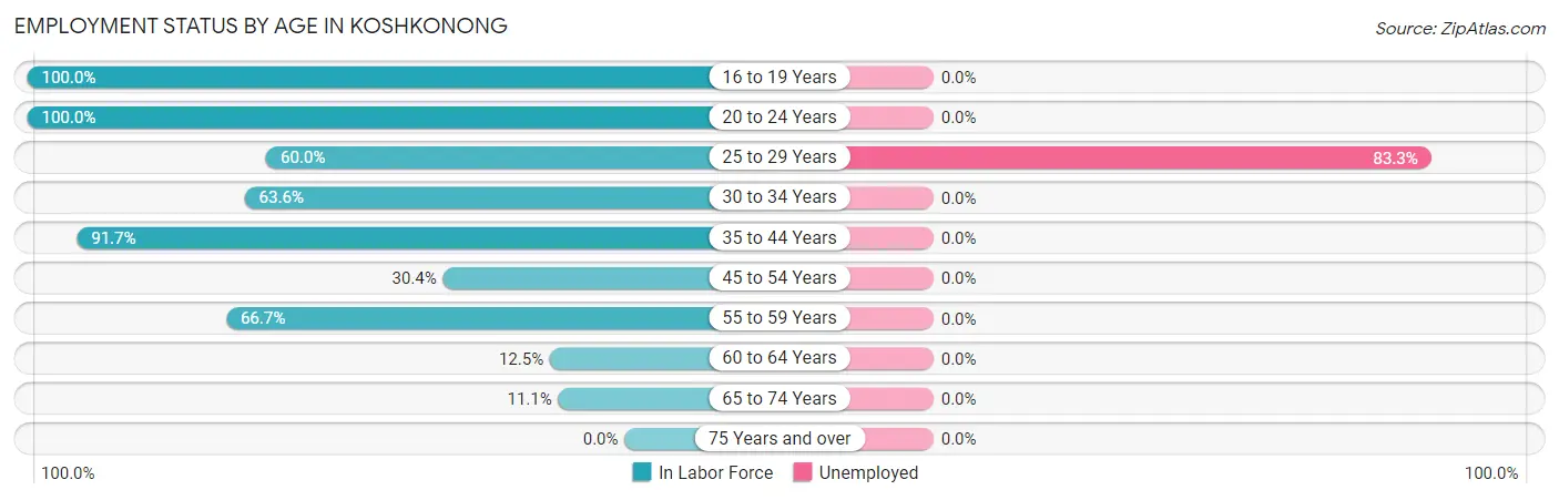 Employment Status by Age in Koshkonong