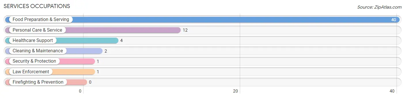 Services Occupations in La Belle