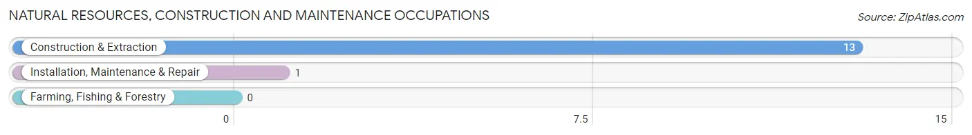 Natural Resources, Construction and Maintenance Occupations in Lamar Heights