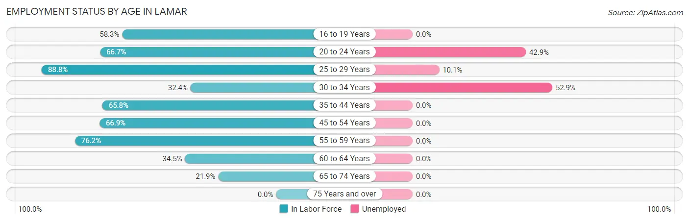 Employment Status by Age in Lamar