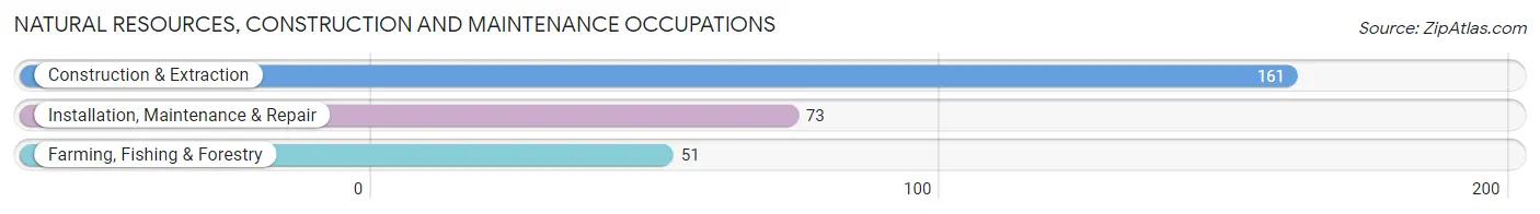 Natural Resources, Construction and Maintenance Occupations in Lamar