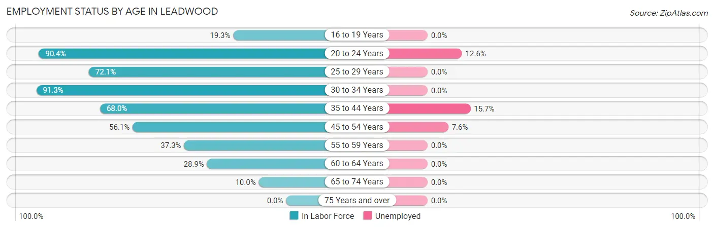 Employment Status by Age in Leadwood