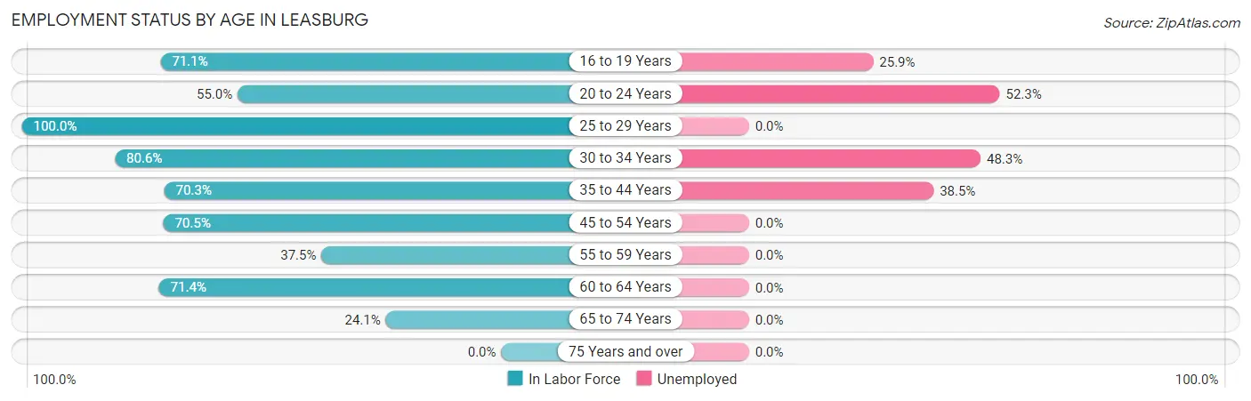 Employment Status by Age in Leasburg