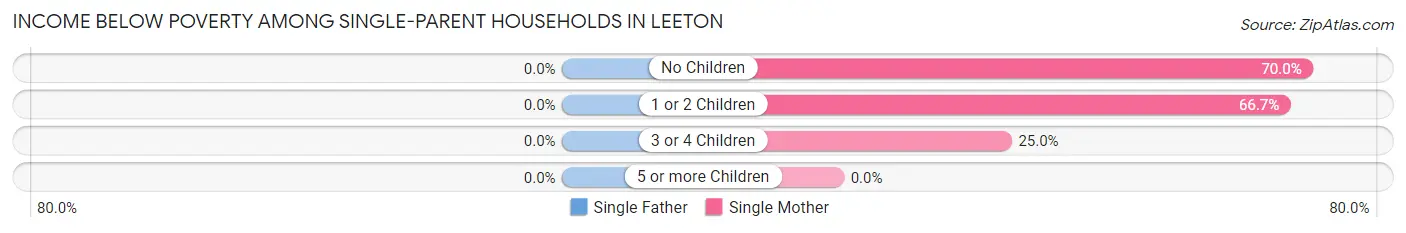 Income Below Poverty Among Single-Parent Households in Leeton