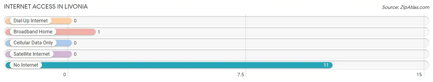 Internet Access in Livonia