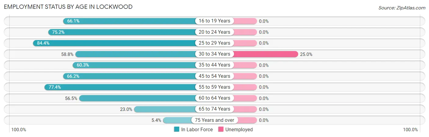 Employment Status by Age in Lockwood