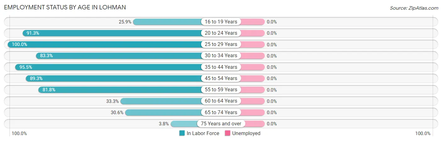 Employment Status by Age in Lohman