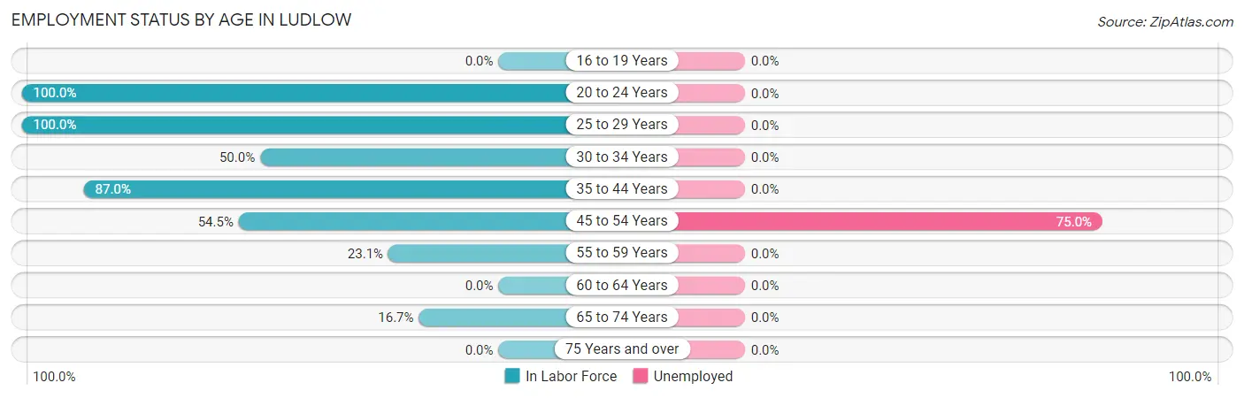 Employment Status by Age in Ludlow
