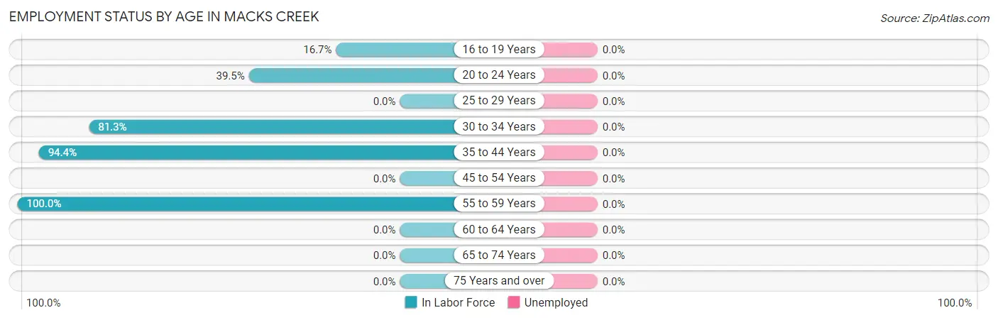 Employment Status by Age in Macks Creek