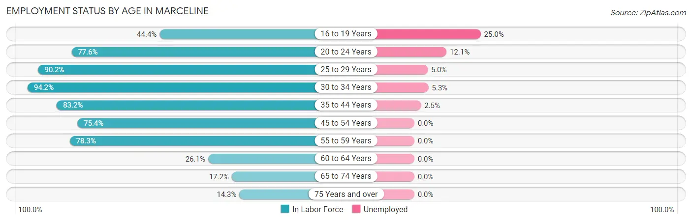 Employment Status by Age in Marceline