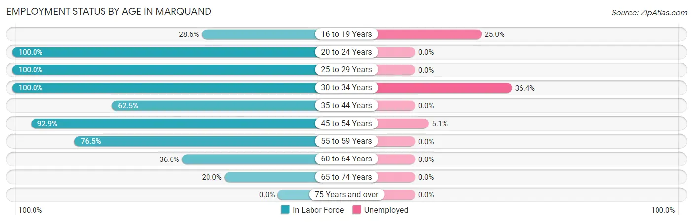 Employment Status by Age in Marquand