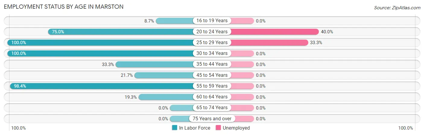 Employment Status by Age in Marston