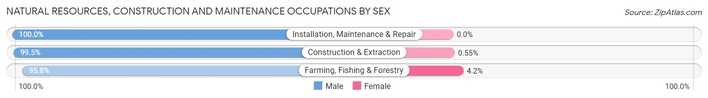 Natural Resources, Construction and Maintenance Occupations by Sex in Marthasville