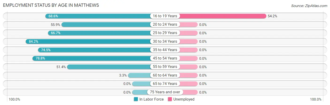 Employment Status by Age in Matthews