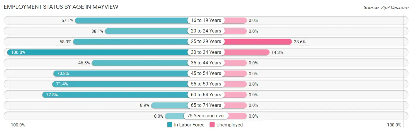Employment Status by Age in Mayview