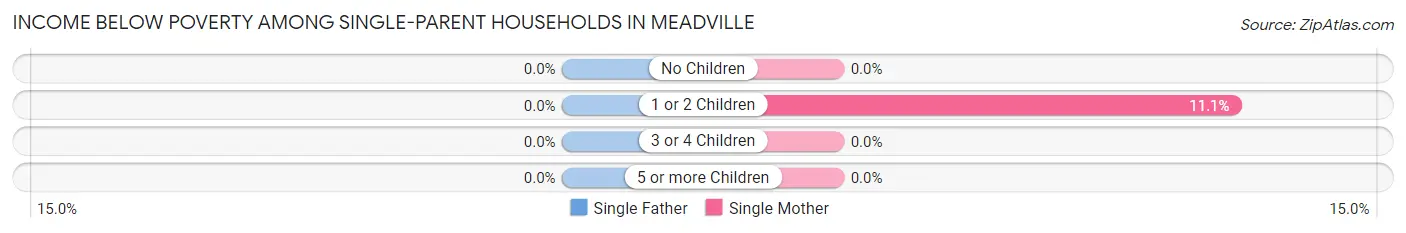 Income Below Poverty Among Single-Parent Households in Meadville