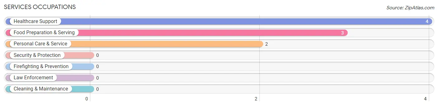 Services Occupations in Mendon